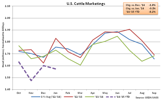 US Cattle Marketings - Feb