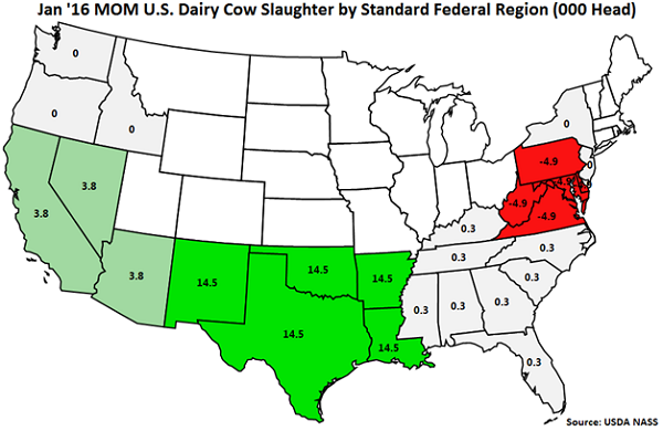 Jan 16 MOM US Dairy Cow Slaughter by Standard Federal Region - Feb 16