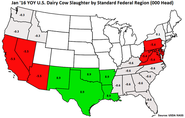 Jan 16 YOY US Dairy Cow Slaughter by Standard Federal Region - Feb 16