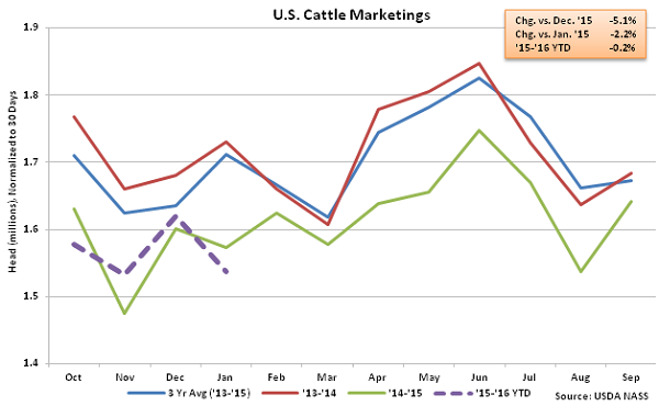 US Cattle Marketings - Feb 16